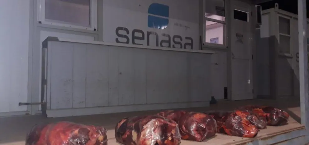Decomisan más de 170 kilos de carne trasladada de forma irregular