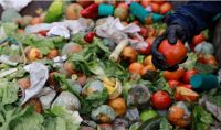 Números alarmantes: el 40% de la comida que se produce en el mundo termina en la basura