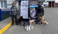 Gendarmería incautó droga valuada en más de 30 millones que era trasportada por un camionero roquense 