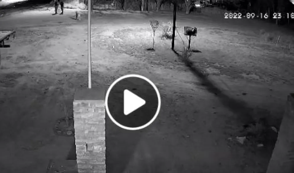 VIDEO: Ahuyentaron al perro con tiros en un barrio de Roca 