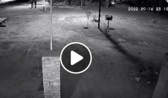 VIDEO: Ahuyentaron al perro con tiros en un barrio de Roca