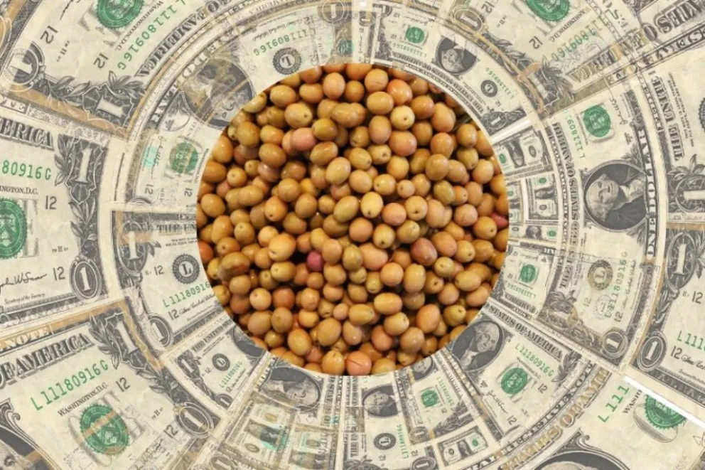 Dólar soja 2: cómo funcionará y cuál es su alcance