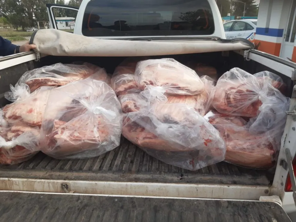 Llevaba 350 kilos de carne envueltos en bolsas de nylon y no pasó el control policial