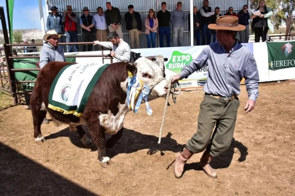 La expo se realiza en el predio ferial de Paso Córdoba. Foto (ANR).