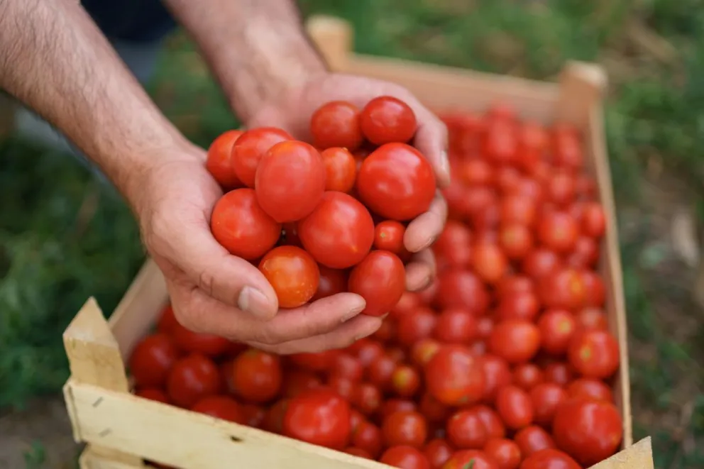Se reunieron en Roca para gestionar el registro a trabajadores de la cebolla y el tomate 