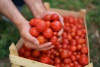 Se reunieron en Roca para gestionar el registro a trabajadores de la cebolla y el tomate 