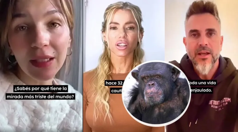 "Tiene la mirada más triste del mundo”: famosos piden por la liberación de Toti