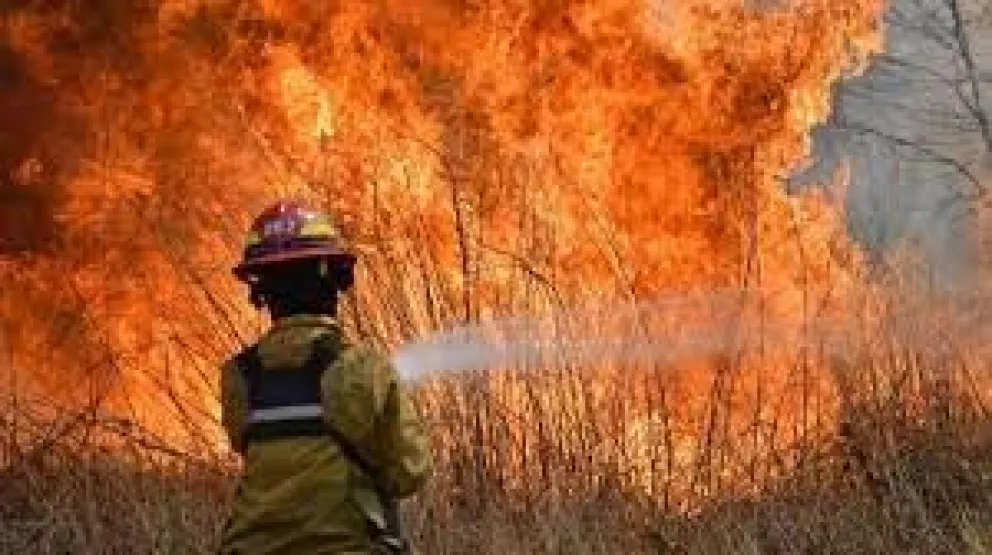 Incendios forestales: se registraron focos activos en Córdoba y Santa Fé