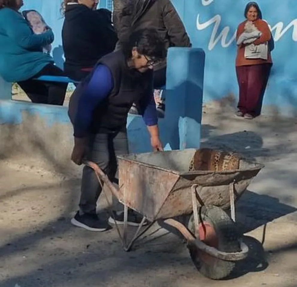 Cuando se quiere, se puede: una mujer llevó a castrar a su perrita en una carretilla