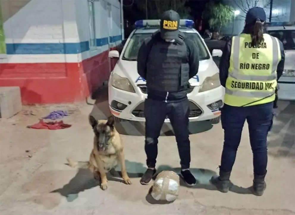 Fue corto el viaje: transportaban marihuana en el colectivo y los atraparon