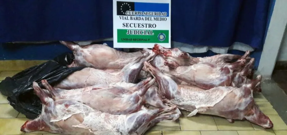 ¡Piedra libre!: llevaba 12 chivos faenados escondidos bajo mantas y lo descubrió la policía 