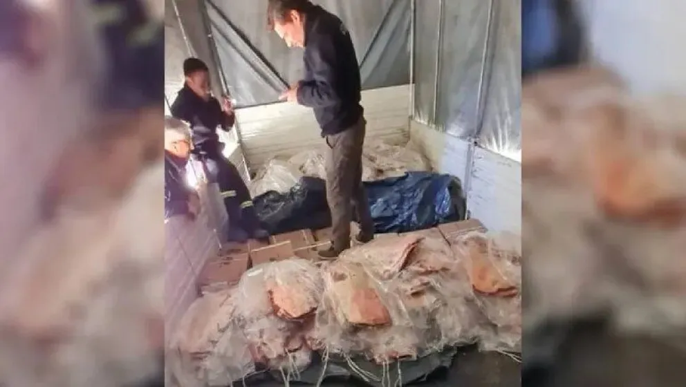 Dijo que llevaba solo galletitas y le encontraron casi cuatro toneladas de costillares