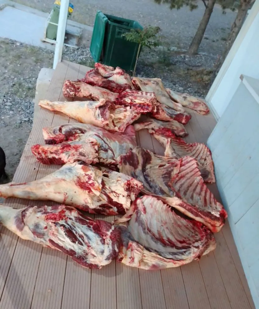 Nuevo decomiso: llevaba cerca de 300 kilos de carne tapados con una frazada