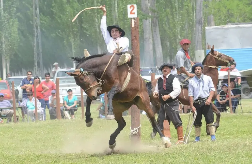 Fiesta de la Tradición: habrá colectivo gratis para llegar al predio de Destrezas Criollas