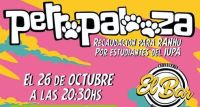 Llega "Perropalooza", un gran festival para ayudar a los callejeritos: mirá de qué se trata
