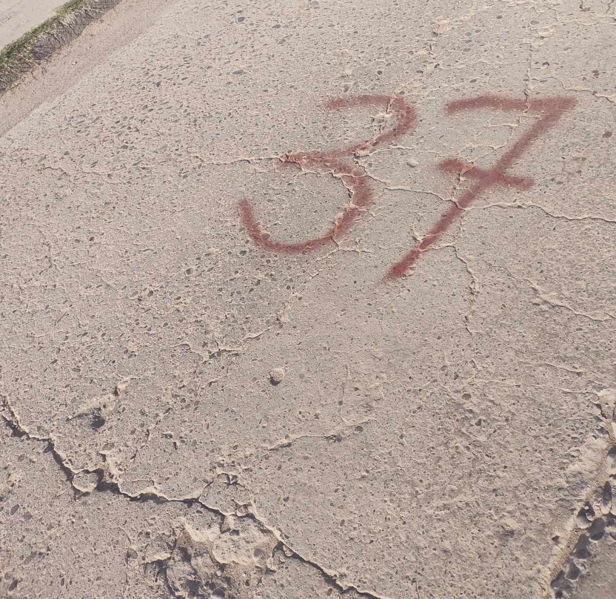 pozo 37