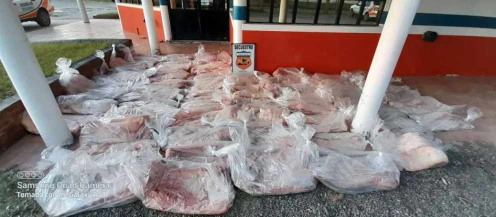 Una mujer traía a la ciudad 60 costillares sin declarar y se los decomisaron