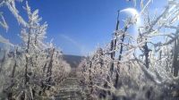 Clima: vuelven las temperaturas bajo cero al Alto Valle