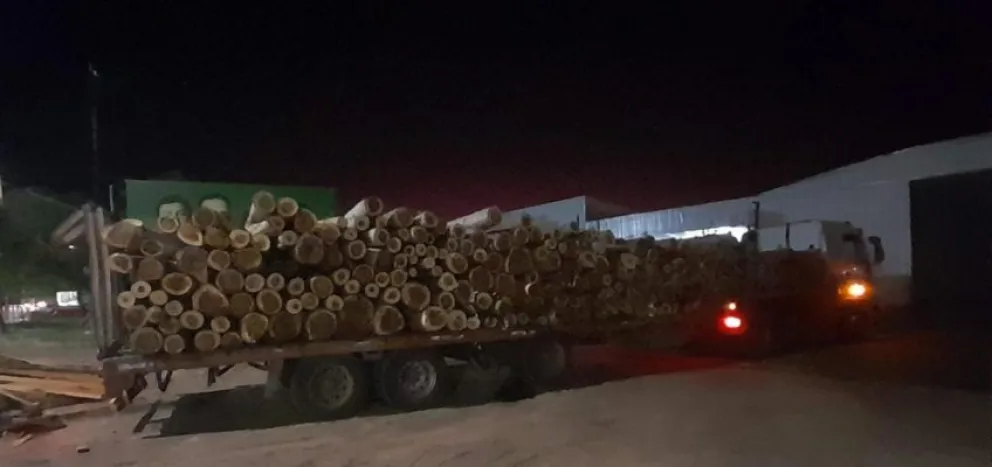 Si pasa, pasa: llevaba 48 mil kilos de madera sin los permisos correspondientes