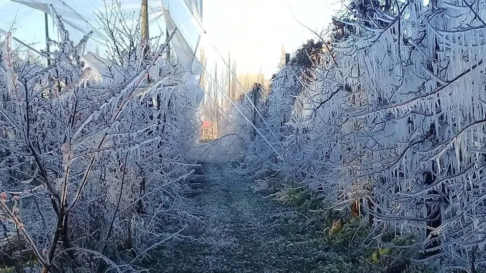 Los productores ya pueden presentar la declaración jurada por daños