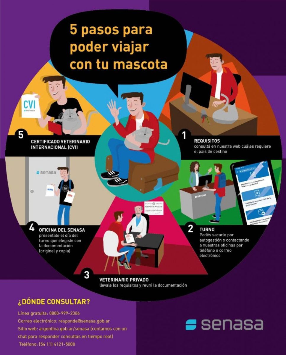 5 PASOS PARA VIAJAR CON TU MASCOTA
