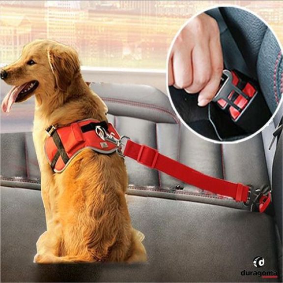 PERRO CON PRETAL Y CINTUR&Oacute;N