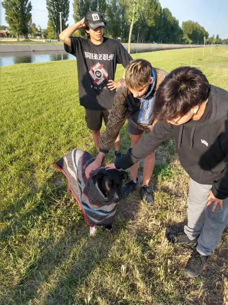 Se pusieron la capa: Rescataron a un perro del canal grande