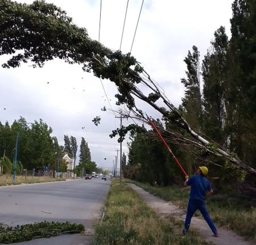Lo que el intenso temporal nos dejó: mirá los destrozos que provocó la tormenta de anoche