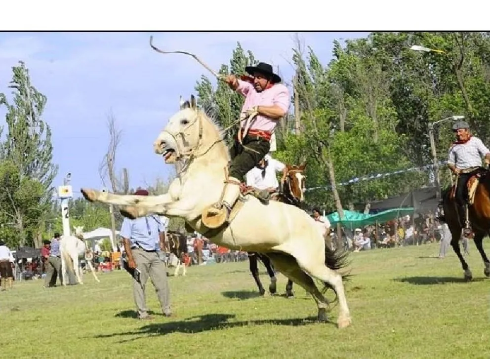 Suspenden la Final del Campeonato provincial de jineteada por brote de encefalomielitis equina
