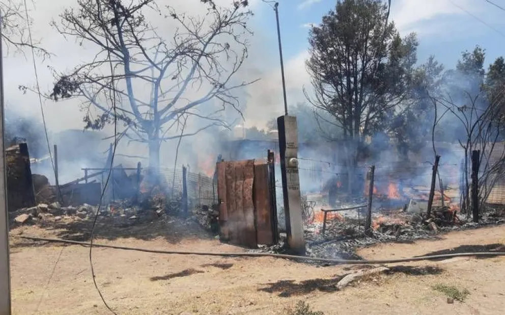 Amor incondicional: el perro lo salvó de morirse en un incendio