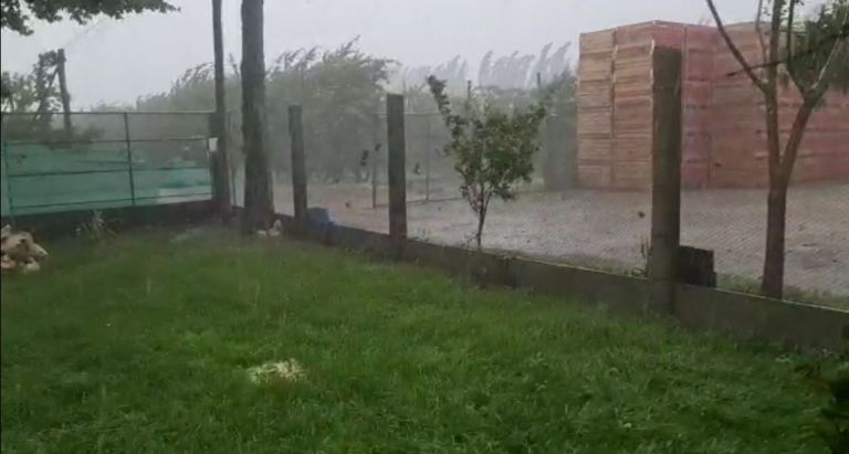VIDEO: Granizo, caída de postes y todo lo que dejó el temporal esta tarde