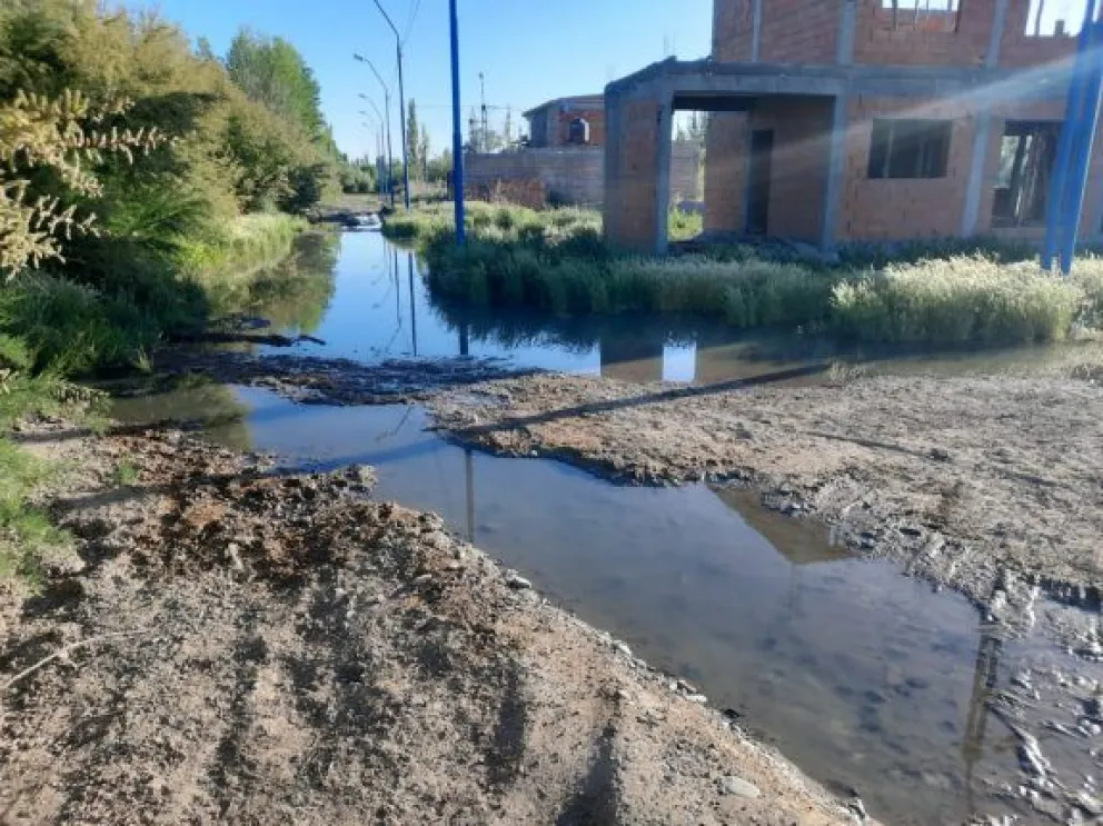 Más actas por desbordes cloacales: el municipio labró 28 en menos de una semana