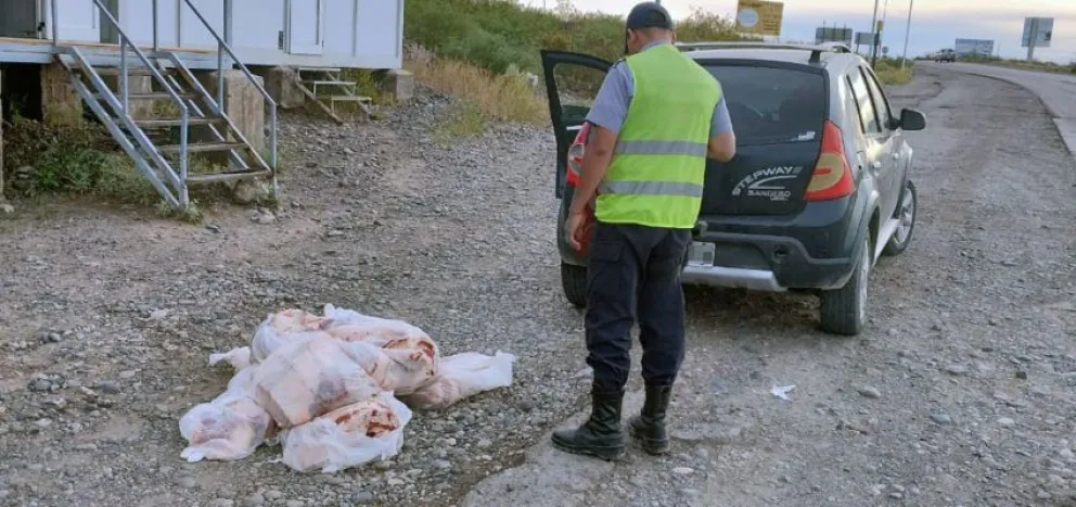 Transportaba 130 kilos de carne ilegalmente y fue atrapado por la policía 