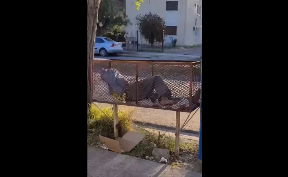 Lamentable: una persona en situación de calle se acostó a dormir en el canasto de la basura