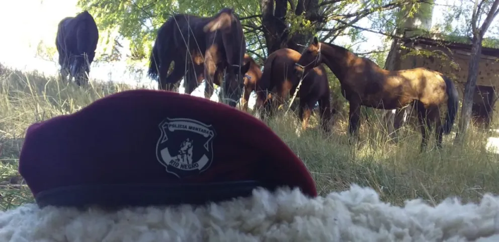 Policía se quiso quedar con una camioneta donada y lo denunciaron