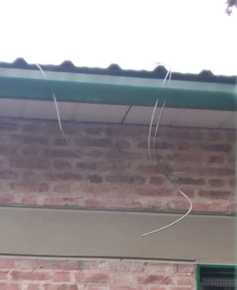 Atrapado: lo vieron cortando cables de una escuela, intentó huir y fue alcanzado por la policía
