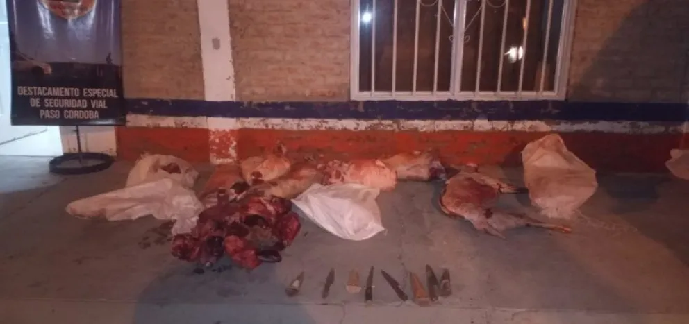 No llegaron a Navidad: la policía secuestró siete corderos faenados en Paso Córdoba