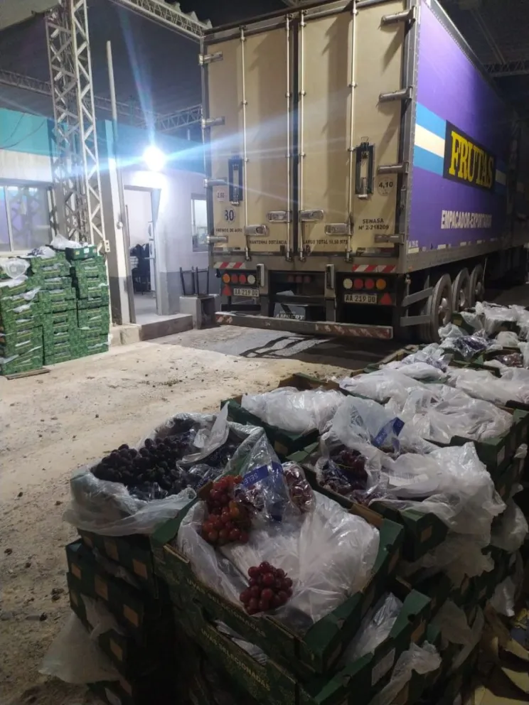 Senasa impidió el ingresó de 1.440 kilos de uva que representaban un riesgo sanitario