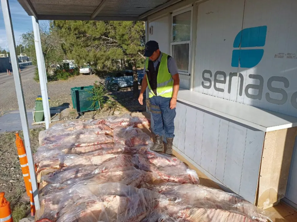 ¡Con lo cara que está la carne!: secuestran 15 costillares transportados ilegalmente
