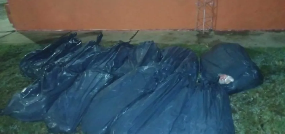 El decomiso de cada día: secuestraron 280 kilos de carne que iban con destino al Alto Valle