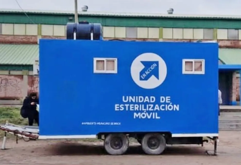 Comienza la entrega de turnos para castraciones: ¿dónde y en qué horarios?