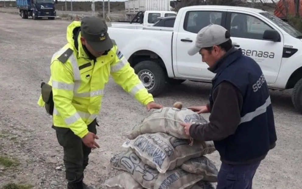 Donaron 1000 kilos de papas decomisadas por inconsistencia de documentación