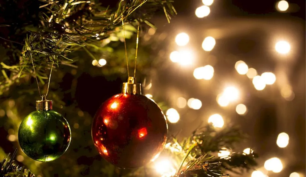 Llega un nuevo Paseo Navideño a la ciudad: enterate de qué se trata esta propuesta