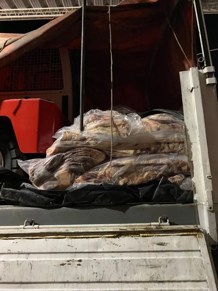 Traían 2.000 kilos de carne bovina sin cadena de frío: Senasa los incautó