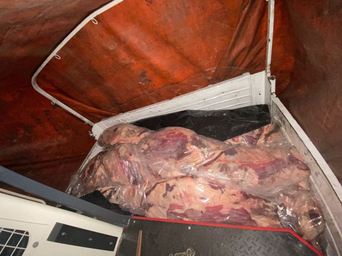 carne bovina cami&oacute;n la adela santa rosa roca 25 noviembre