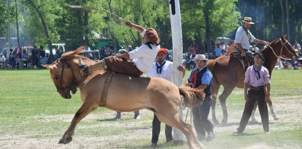 ¿Se deben prohibir las Jineteadas? Se reanuda el debate en Roca 