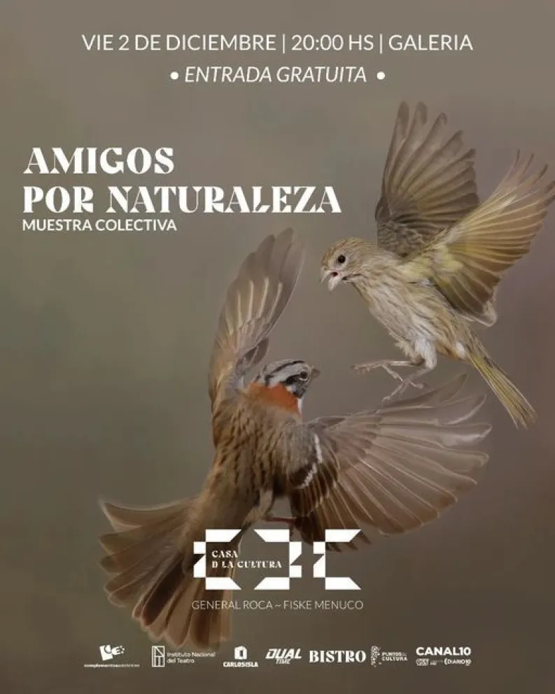 “Amigos por Naturaleza”: llega una muestra fotográfica imperdible de la fauna del Alto Valle 