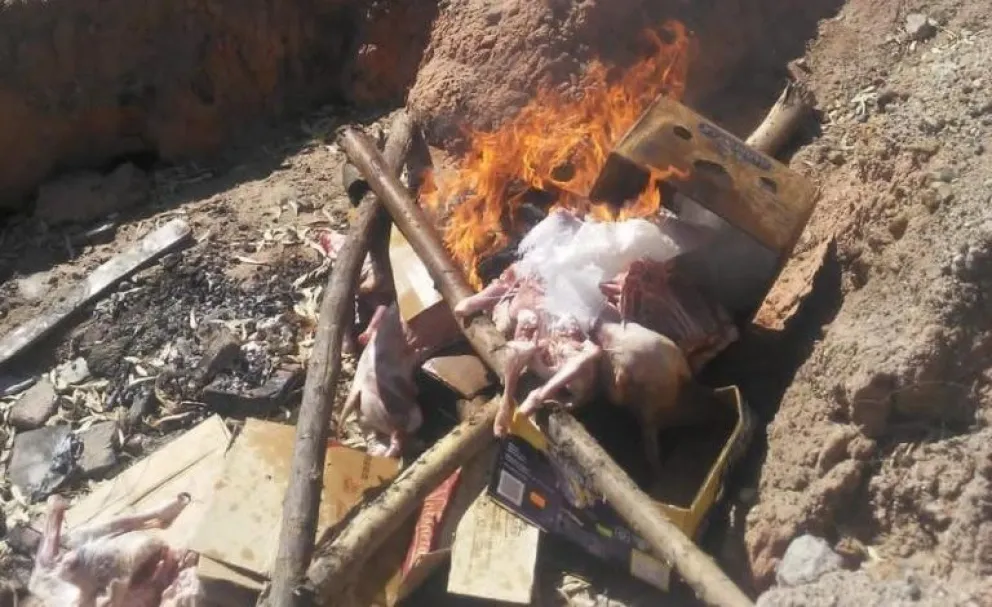 La policía quemó carne secuestrada a una camioneta que circulaba con irregularidades