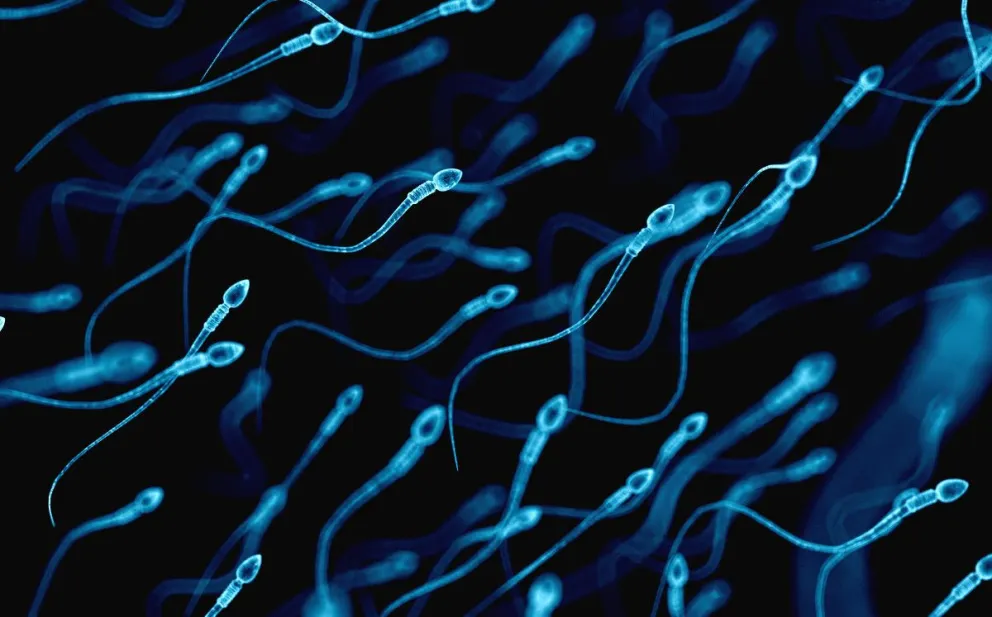 Mayor cuidado: el “DIU” para hombres, el nuevo anticonceptivo que se viene