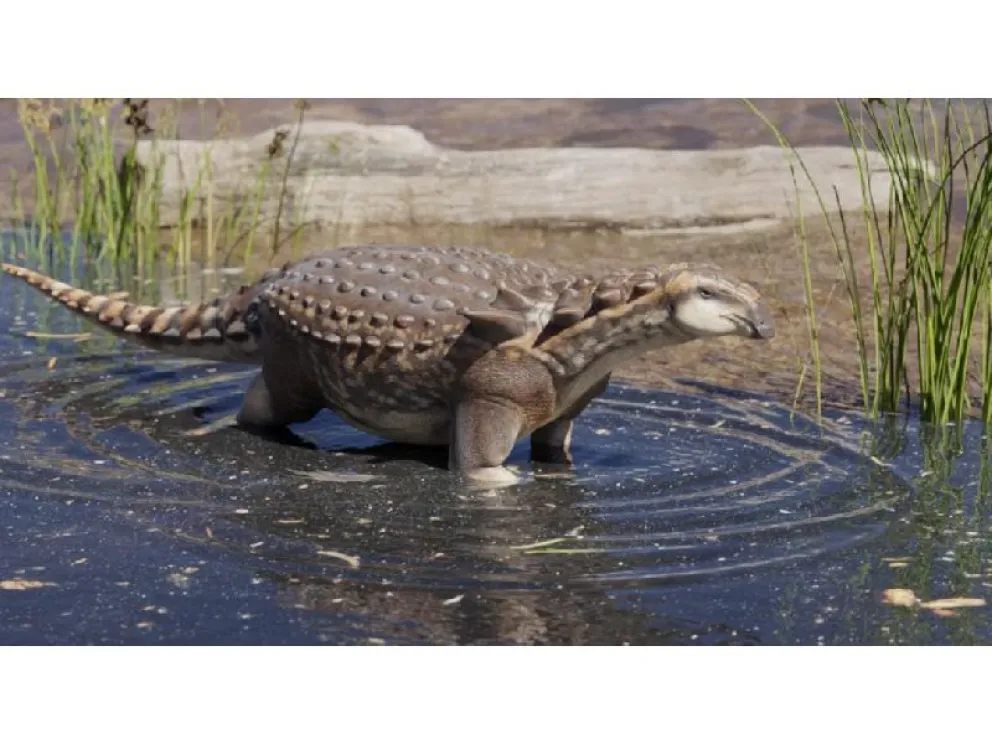 Gracias a restos fósiles hallados en Roca, descubren una nueva especie de dinosaurio. Mirá el Video.